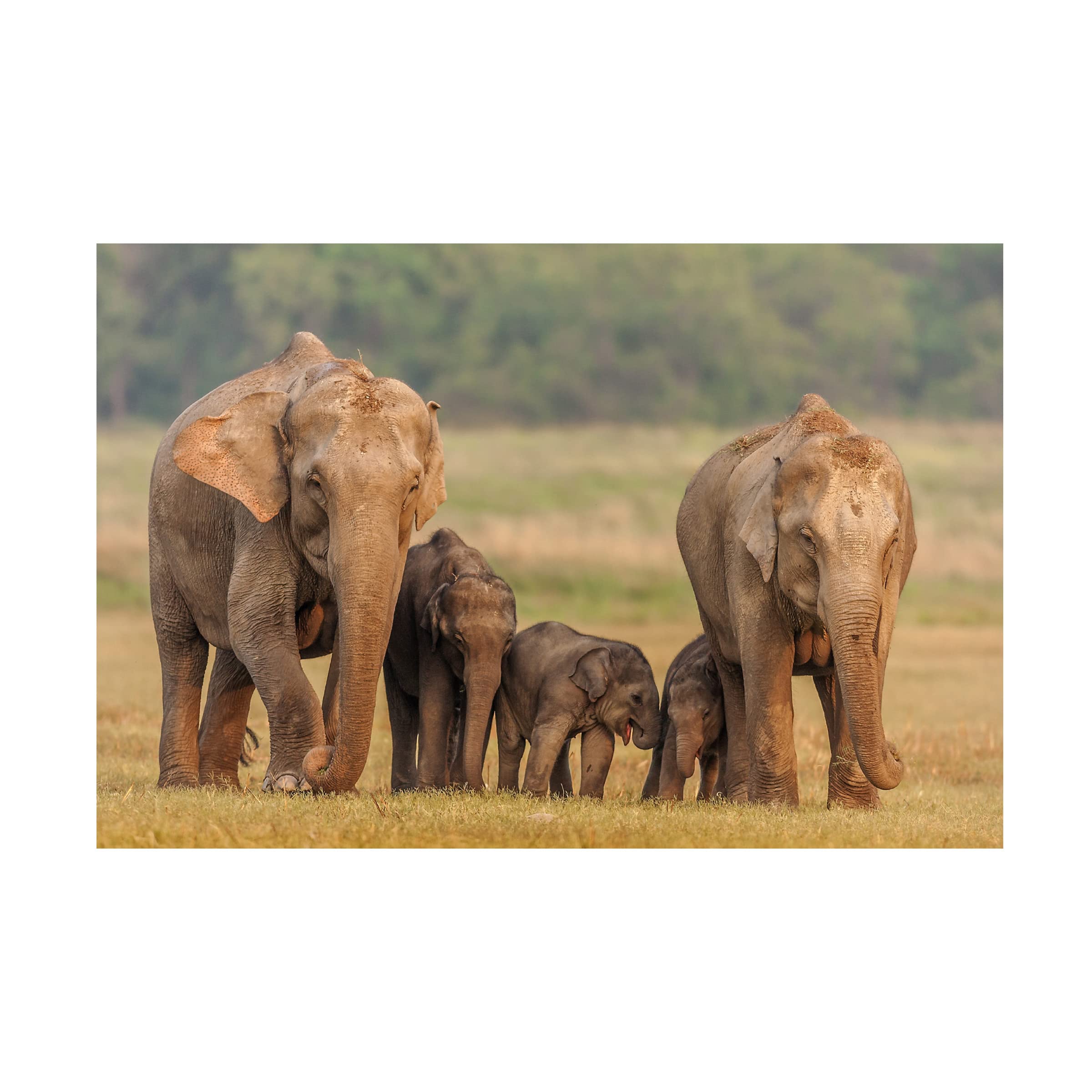 Jagdeep Rajput Asian Elephant Family Canvas Wall Art - Handmade Wildlife Painting for Living Room, Bedroom & Office Decor