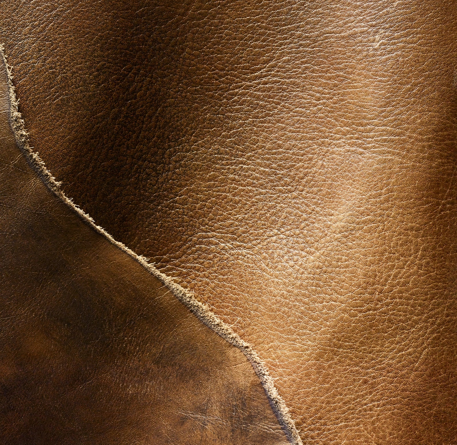 Premium Ambrose Leather Chair - Modern & Comfortable Office & Living Room Furniture for Home & Workspace