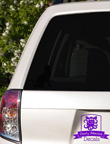 Overly Attached Kitty Cat Vinyl Decal - 6