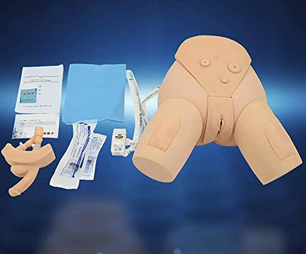 Male & Female Urinary Catheterization Training Manikin - Interchangeable Nursing Practice Simulator for Medical Students & Professionals | Perfect for Clinical Skills Labs & Healthcare Education