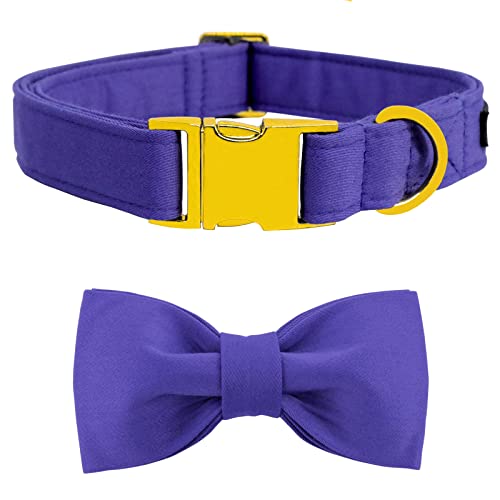suit-purple