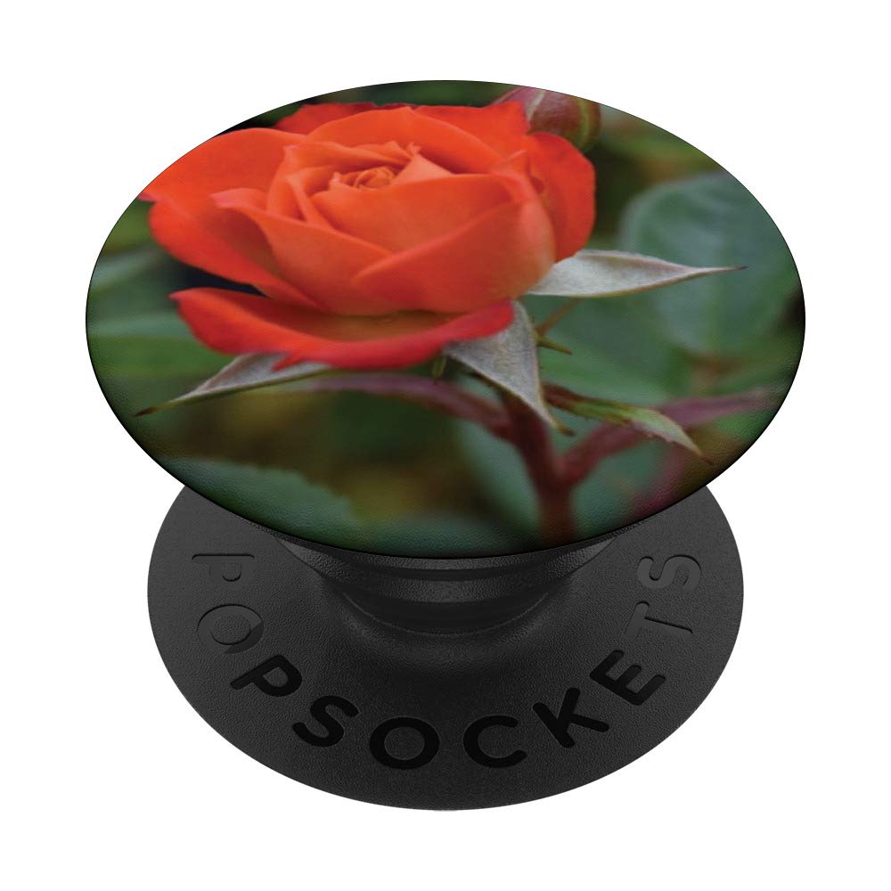 Elegant Rose Floral Phone Case - Stylish & Durable Protection for iPhone & Samsung | Perfect Gift for Women, Girls, Valentine's Day & Everyday Use