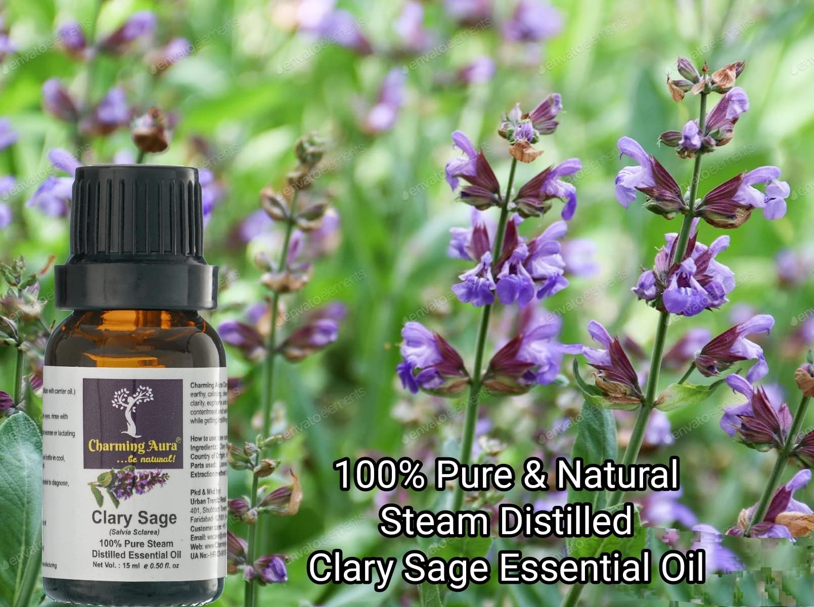Organic Clary Sage Essential Oil - 15ml Steam Distilled, Pure & Natural for Aromatherapy, Relaxation & Skin Care - Perfect for Diffusers, Massage & DIY Beauty Products