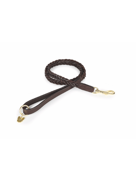 Premium Digby & Fox Braided Dog Leash - Durable & Stylish for Walking, Training & Outdoor Adventures
