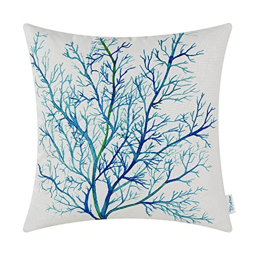 Coral C Blue/Teal