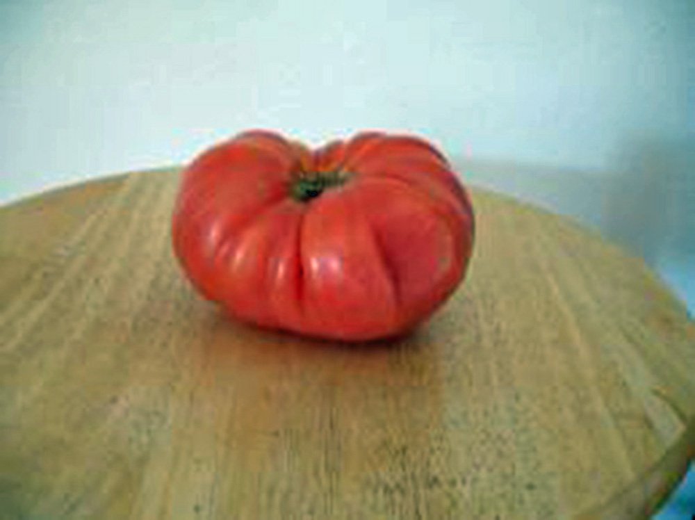 Heirloom Red Ponderosa Tomato Seeds - 25+ Giant 1-2 lb Fruits for Home Gardening, Canning & Fresh Eating