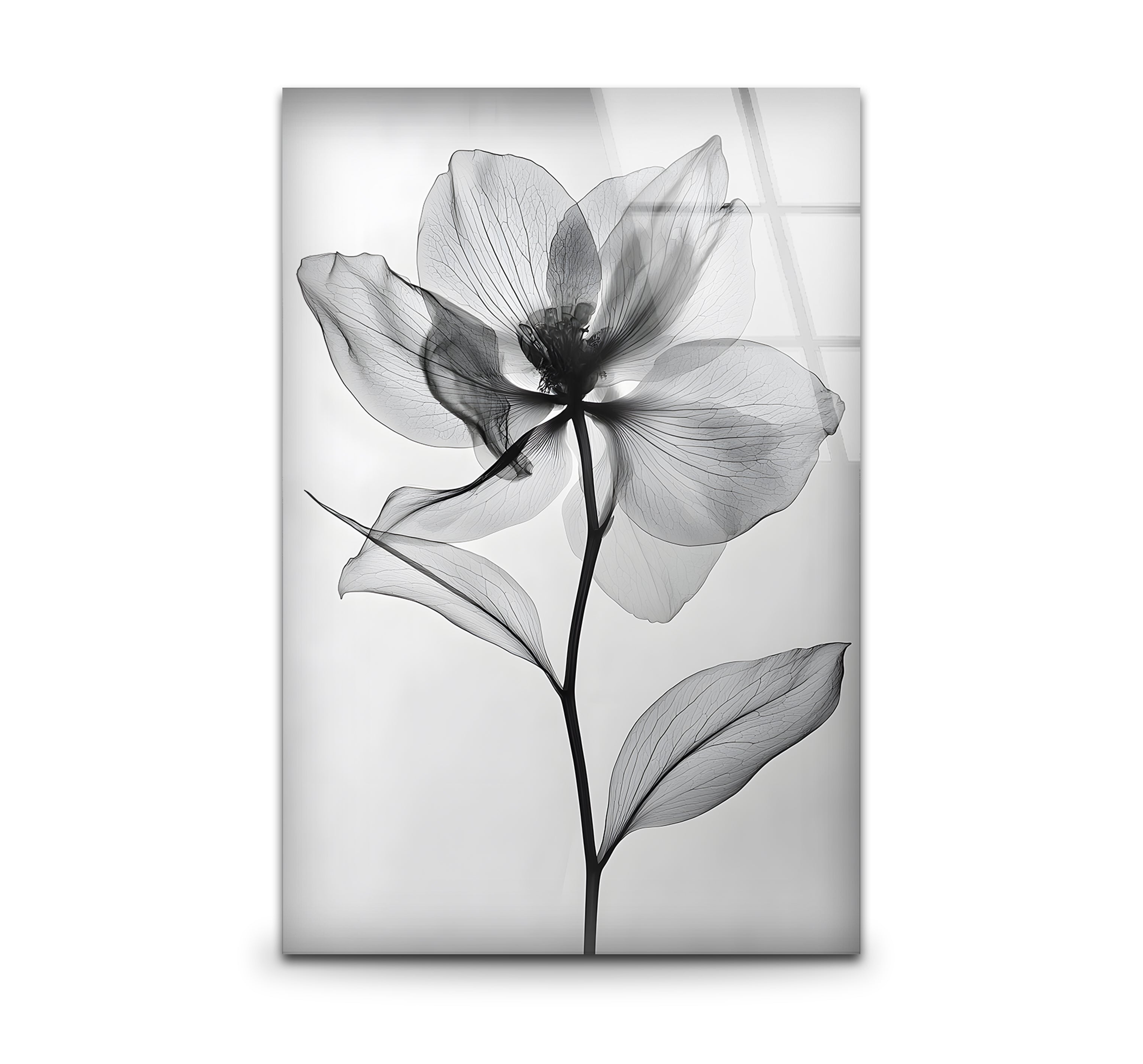 Black and White Flower Glass Wall Art - Elegant Home Decor for Living Room, Bedroom & Office