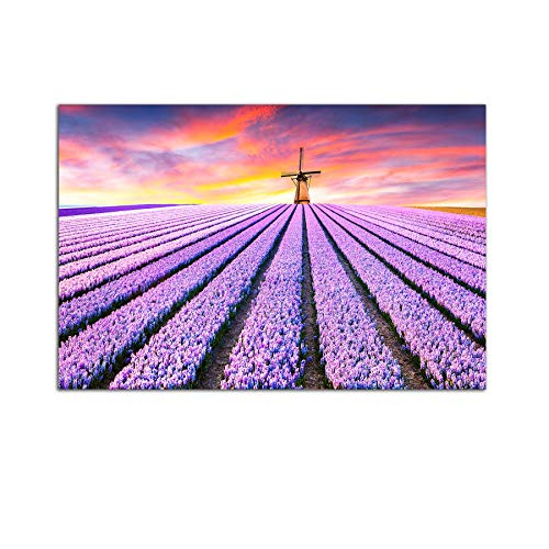 Purple Lavender Field