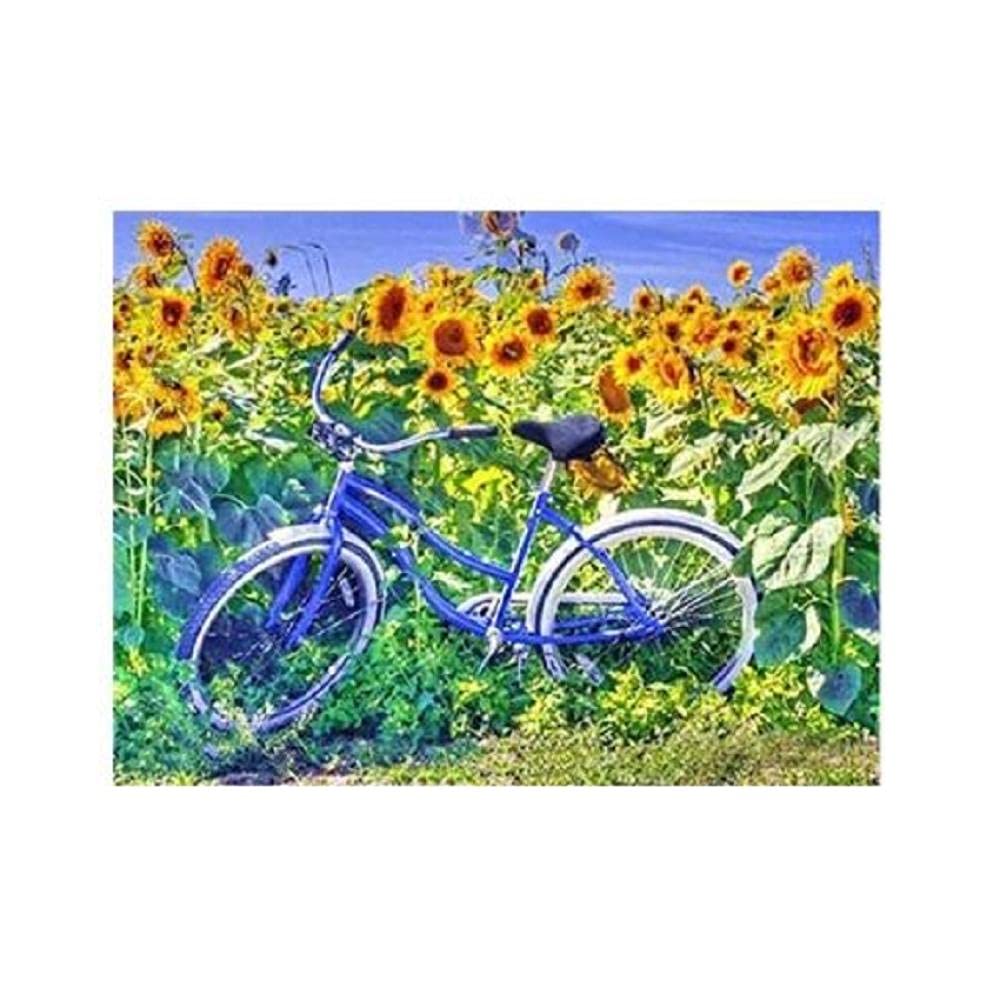 Adult Paint by Numbers Kit - DIY Bicycle Garden Flower Basket Oil Painting on Canvas, Retro Art for Home Decor, Kids Room & Wall Decoration | Relaxing Hobby & Gift Idea for Beginners