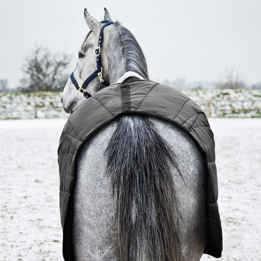 HORZE Nevada Medium Weight 200g Stable Blanket for Horses - Perfect for Cool Weather & Indoor Riding