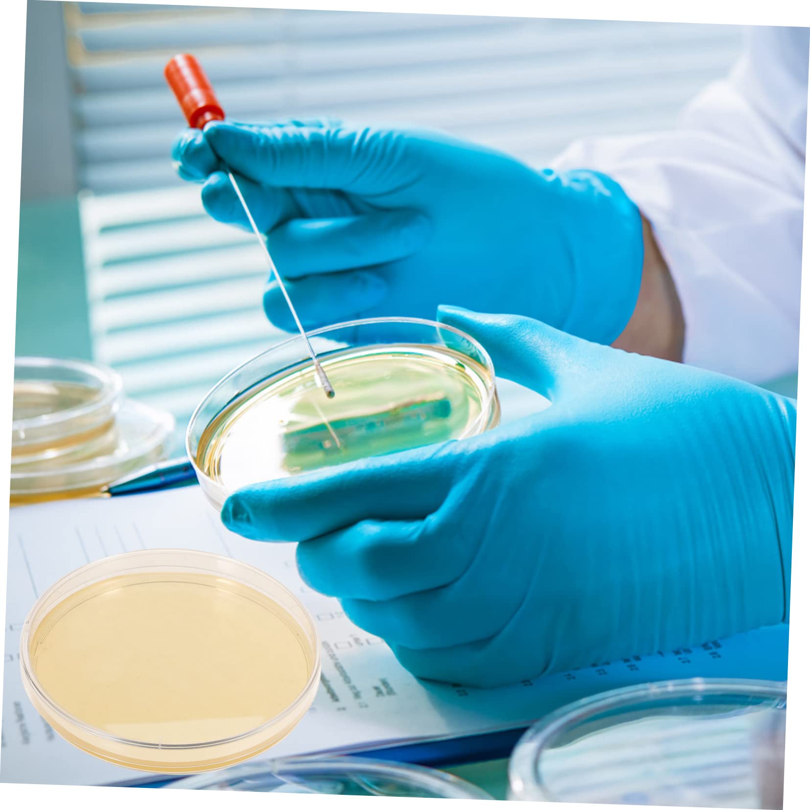 10pcs Nutrient Agar Petri Dishes - Borosilicate Glass Lab Plates for Microbiology Experiments | Perfect for Bacterial Cultures, Science Classrooms & DIY Biology Projects