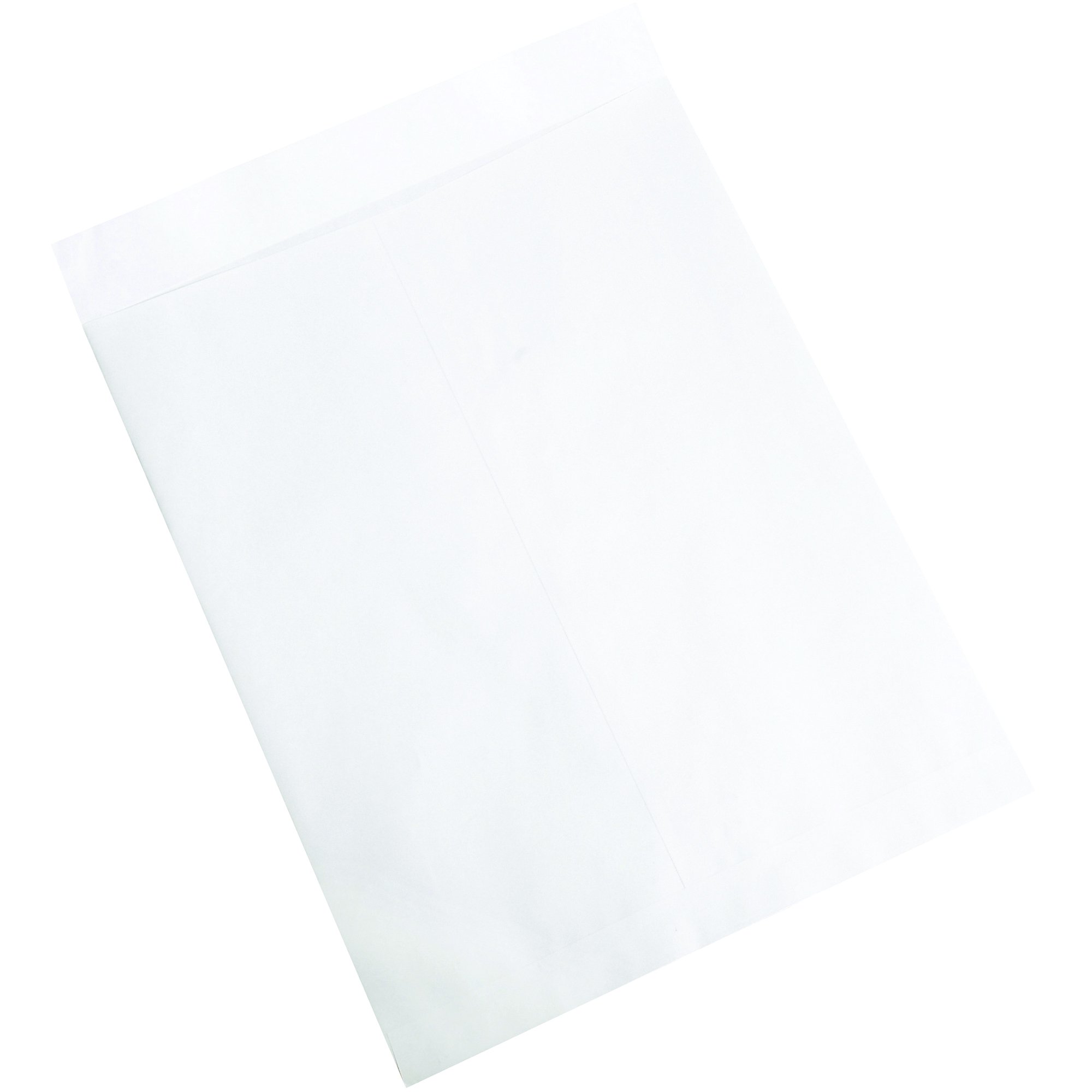 Partners Brand Jumbo Envelopes 17x22 Inches - White Mailing Envelopes (Pack of 250) for Shipping, Mailing Documents & Large Files - Office & Business Supplies
