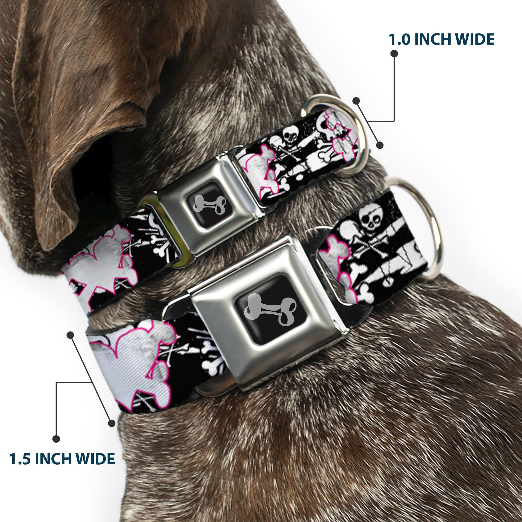 Buckle-Down Seatbelt Buckle Dog Collar - Skull & Crossbones Design with Black/White Splatter - 1.5