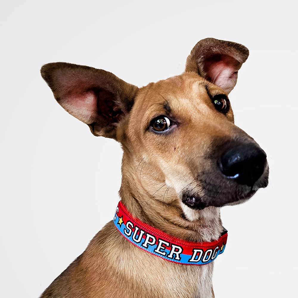 Superdog Collar for Dogs - Adjustable Strong Tuxedo Style (Blue/Red, XL) for Walks & Training