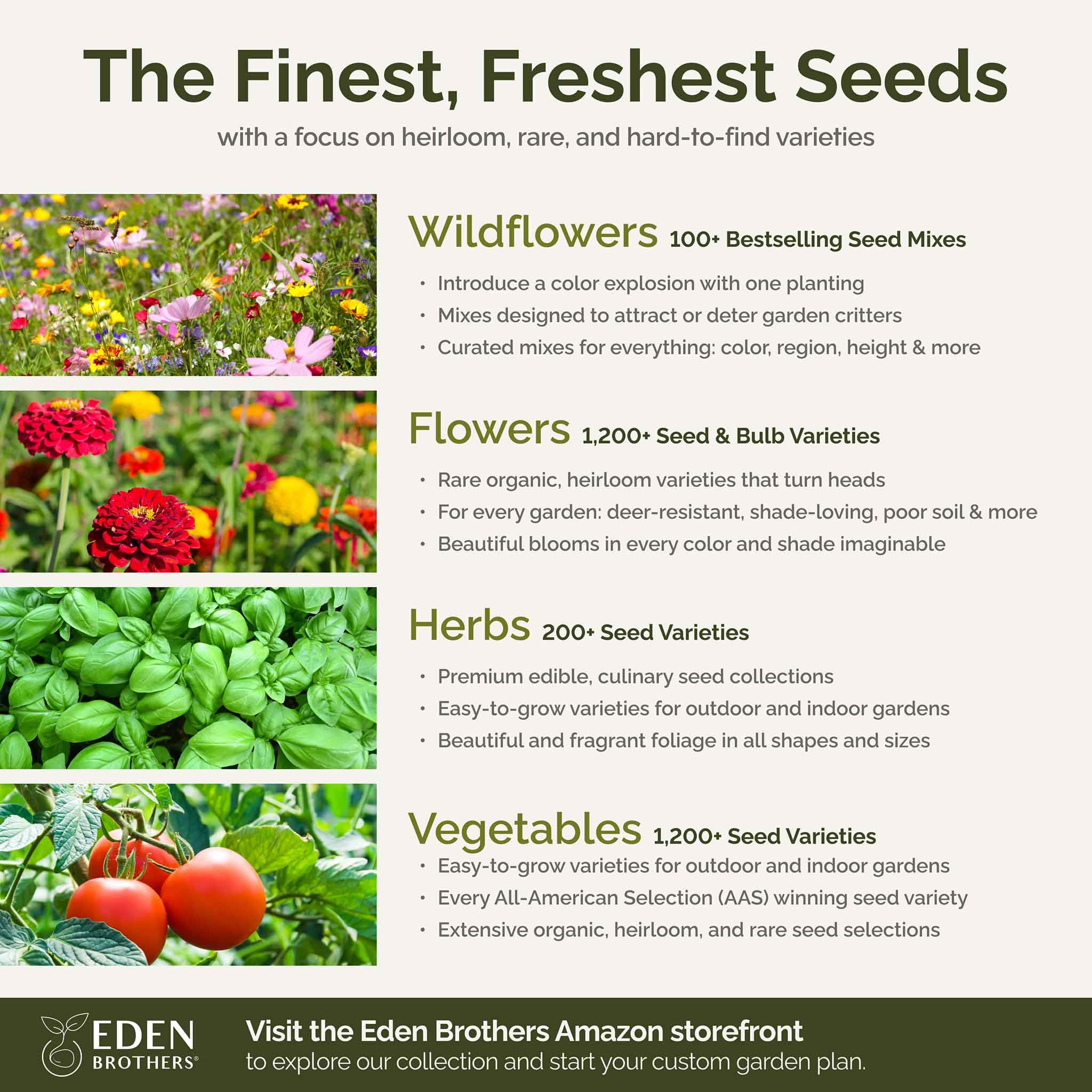 Eden Brothers California Wildflower Seeds Mix - 5 lb Bulk (2,400,000+ Seeds) with Black Eyed Susan & Shasta Daisy | Pollinator Attracting Flower Seeds for Planting in Spring or Fall | USDA Zones 3-10 | Perfect for Meadows, Gardens & Landscaping