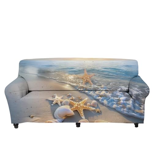 Starfish Shining Ocean