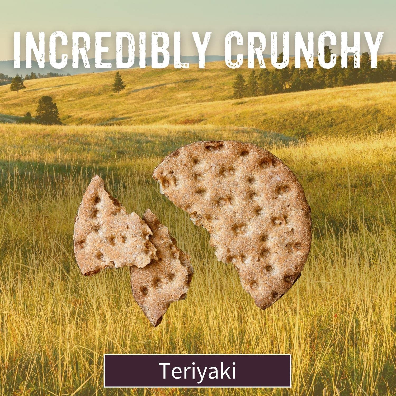 Gluten Free Sesmark Rice Thins Teriyaki Flavor - Non GMO Project Verified - 3.2 Oz (Pack of 12) - Healthy Snack for School Lunch, Office Break & On-The-Go