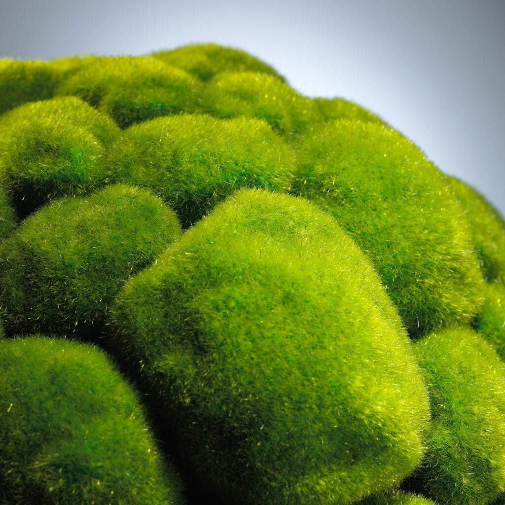 Cyan Design 02608 Large Moss Green Sphere - Decorative Moss Ball for Home, Office, and Garden Decor