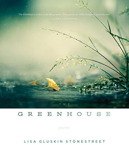 The Greenhouse by Lisa Gluskin Stonestreet - Paperback Novel | Perfect for Book Clubs, Gifts & Cozy Reading