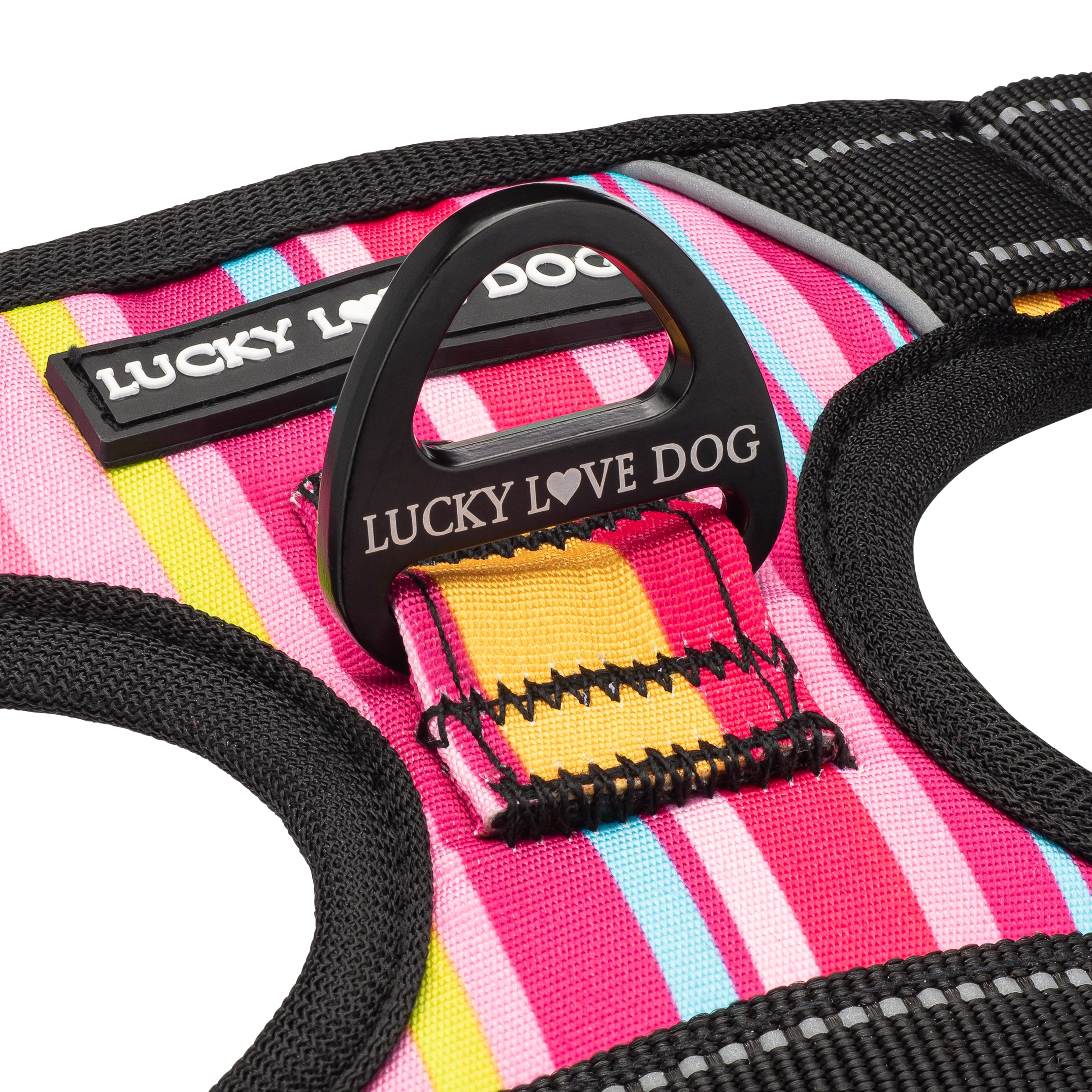 **Easy Walker Molly Harness – Adjustable Dog Harness for Small & Medium Breeds – Wholesale Bulk Orders – Perfect for Walking, Training & Outdoor Adventures**