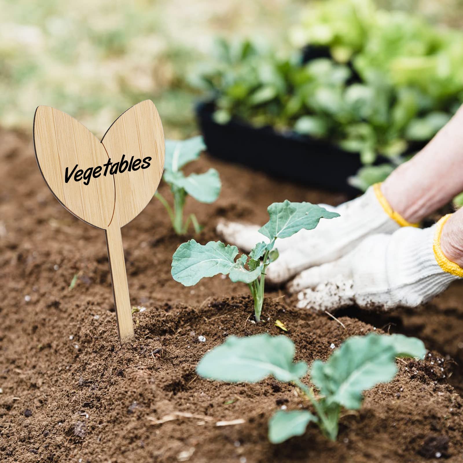KINGLAKE GARDEN 60 PCS Bamboo Plant Labels - Reusable Garden Markers for Vegetables, Herbs & Potted Plants with Permanent Marker - Perfect for Outdoor Gardening, Indoor Planting & Seed Organization
