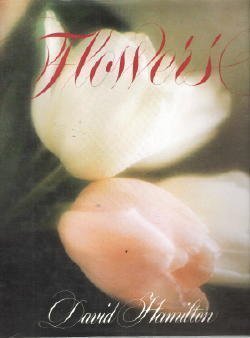 Flowers by David Hamilton - Stunning Floral Photography Book (1990) | Perfect for Home Decor, Gift Ideas & Art Lovers