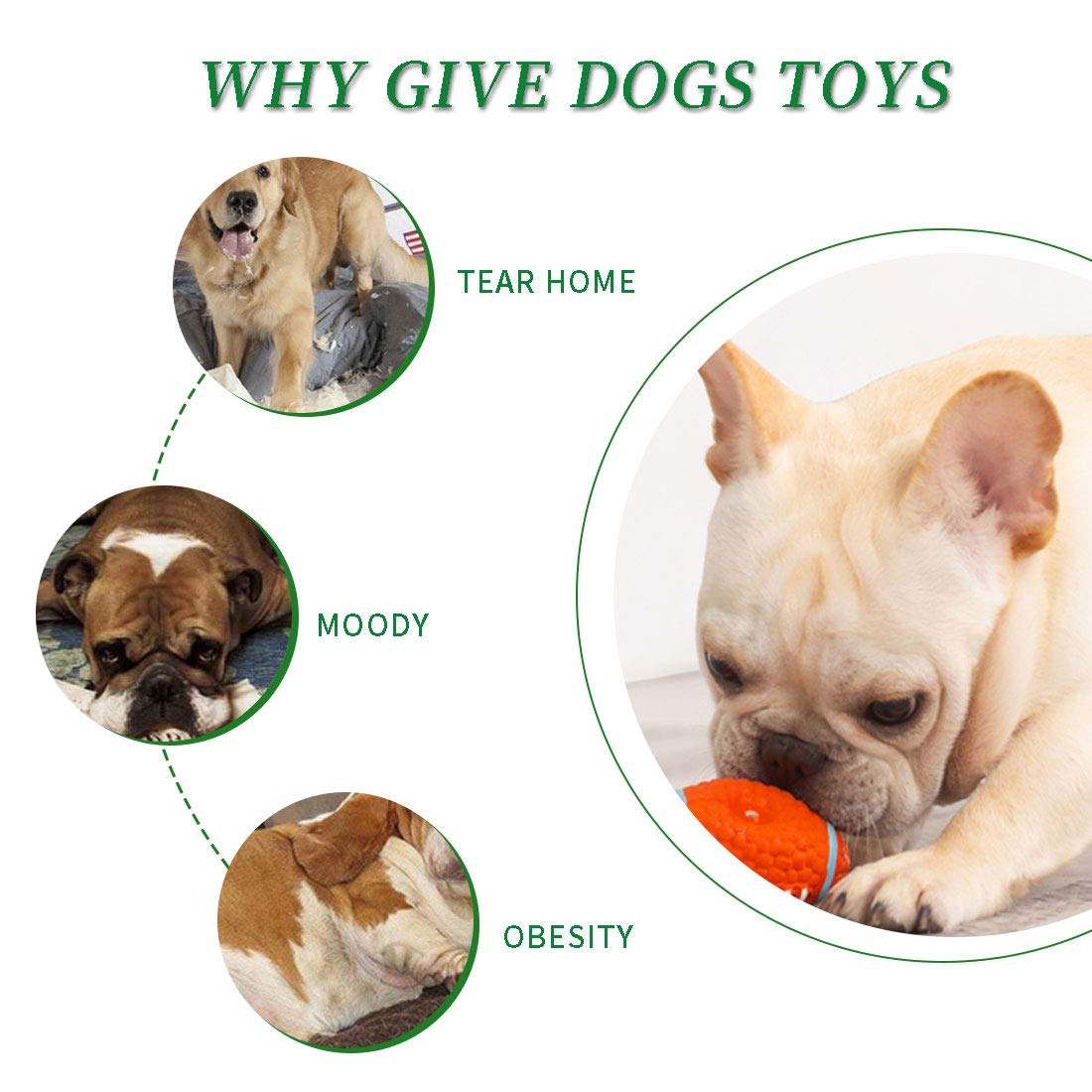 Durable Pet Tennis Balls for Dogs - Non-Toxic Chew Toys for Small, Medium & Large Dogs | Interactive Fetch & Training Toy for Outdoor Exercise, Backyard Play & Dog Park Fun