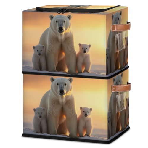 Lovely Animals Bears