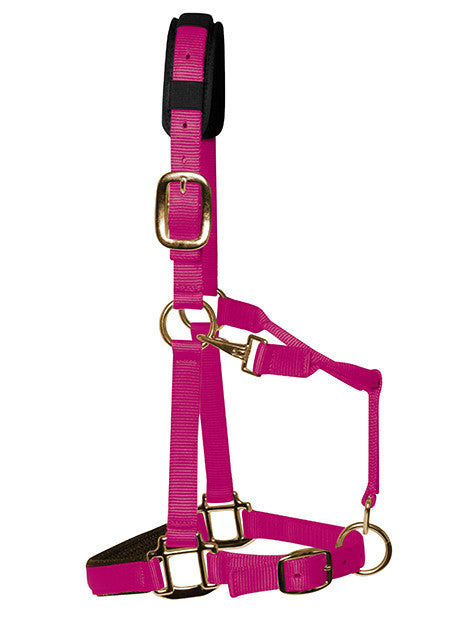 Soft Padded Headcollar for Horses - Comfortable & Adjustable Nylon Halter for Training, Grooming & Show - Perfect for Daily Use & Equestrian Activities