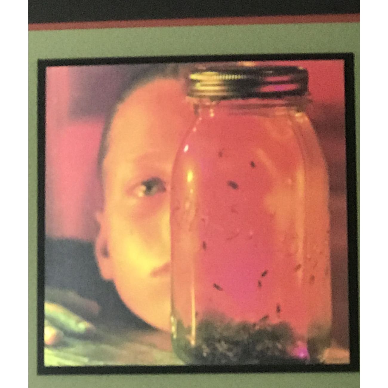 Alice In Chains Jar Of Flies 3x Platinum Album Award - Official RIAA Certified - Perfect for Music Collectors & Rock Fans Display