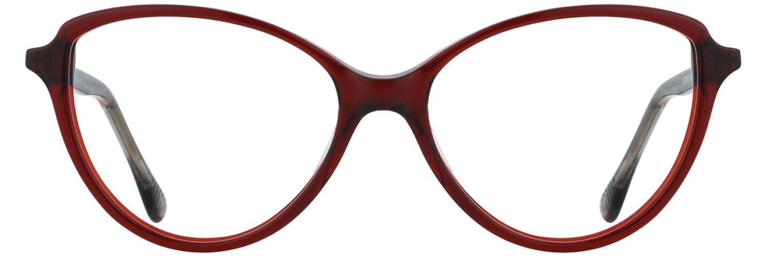 Alan J AJ504 Stylish Eyeglasses for Men & Women - Trendy Frames for Reading, Driving & Everyday Use