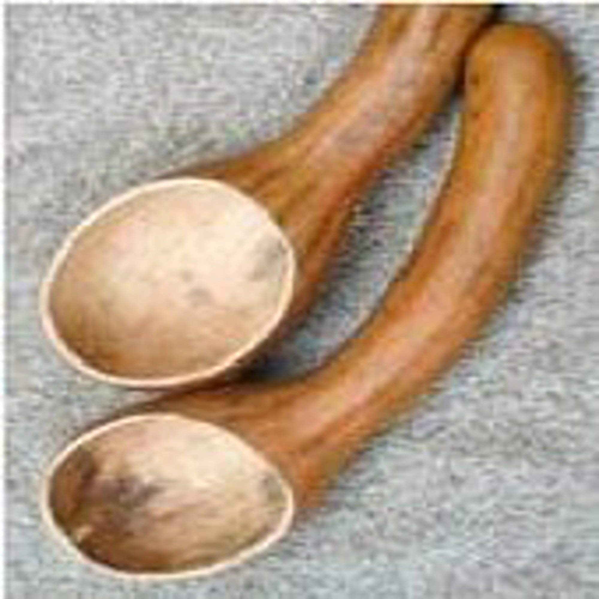 Organic Spoon Gourd Seeds (25+ Seeds) - Non-GMO Heirloom Vegetable Seeds for Home Gardening | Perfect for DIY Crafts, Fall Decorations & Edible Landscaping