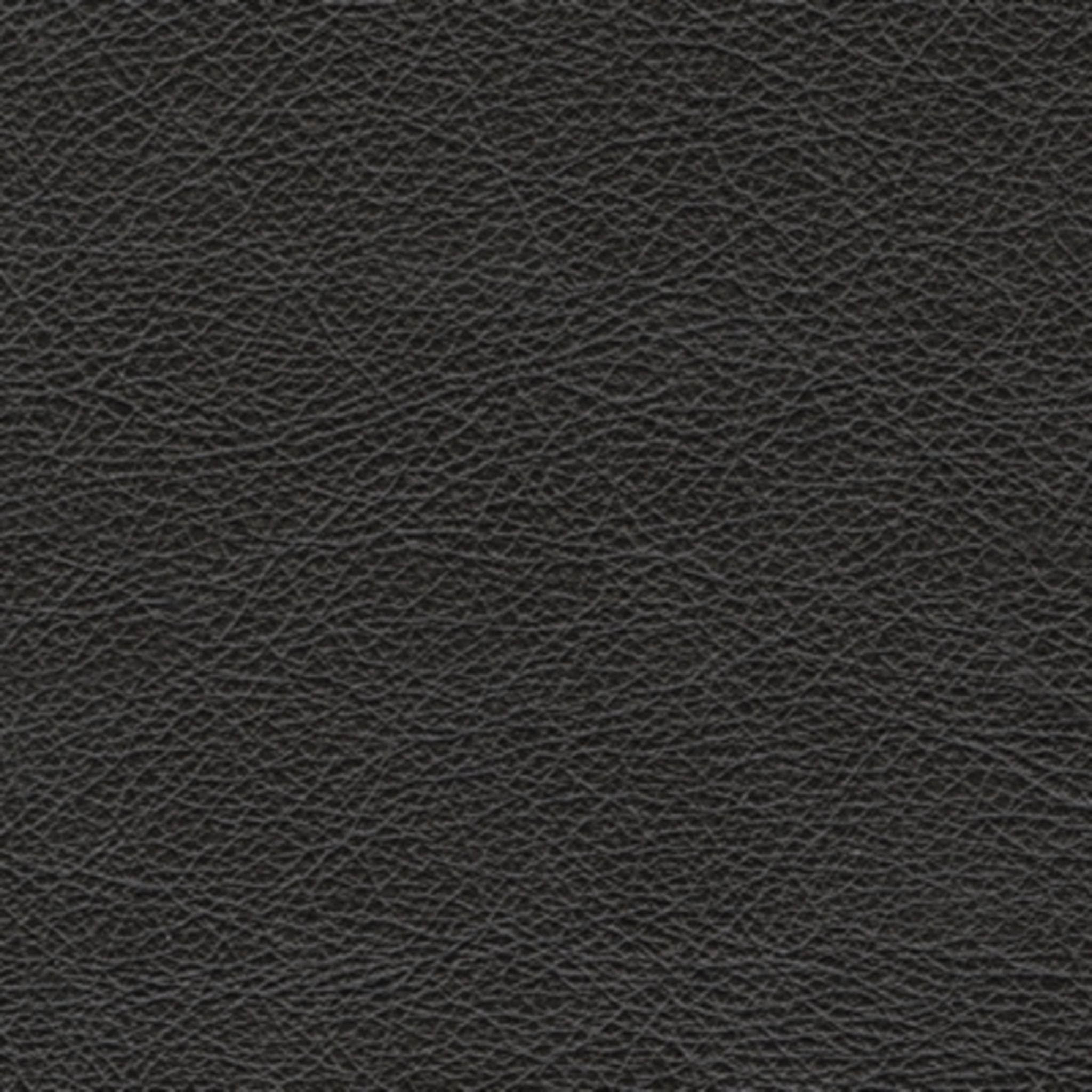 Amiata Modern Sofa in Onyx Black - Stylish and Comfortable Living Room Furniture for Home, Office, or Lounge