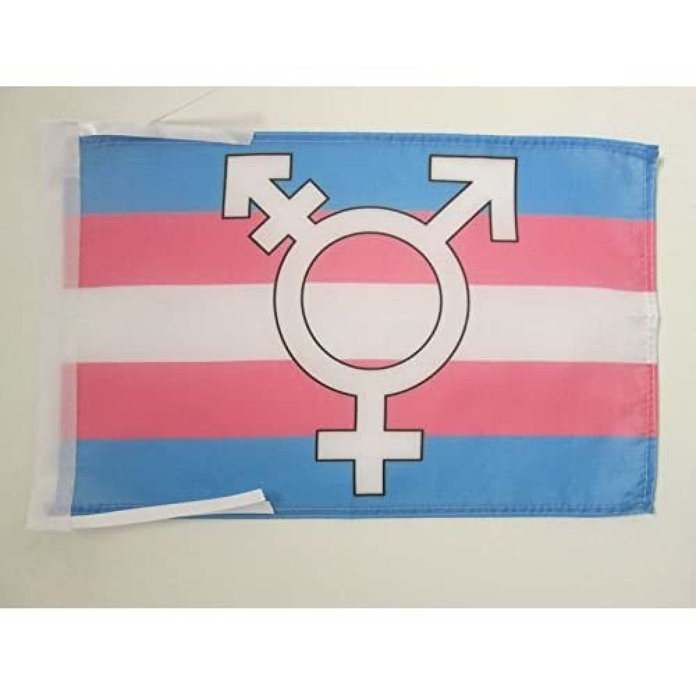 Transgender Pride Flag 18x12 in - Rainbow Banner for LGBTQ+ Events