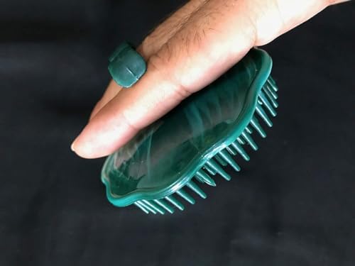 Round Plastic Hair Washing Comb & Scalp Massager - 2 Pack Shower Brush for Men & Women - Gentle Detangling & Scalp Stimulation for Healthy Hair Care - Perfect for Bath, Salon & Home Use