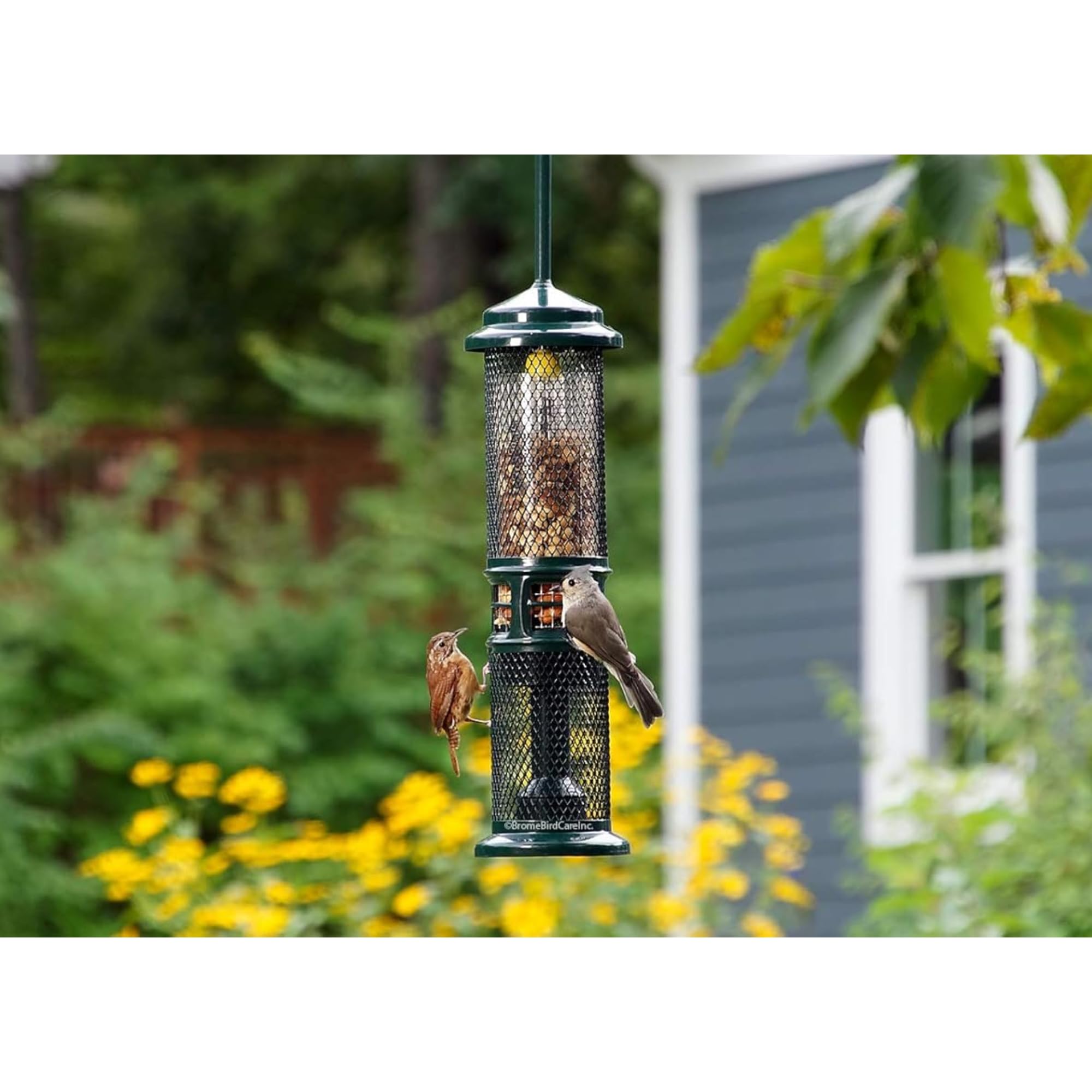 Squirrel Proof Bird Feeder - Squirrel Buster Nut Feeder for Wild Birds, Holds Nuts & Fruits, Dual Mesh Design - Perfect for Backyard, Garden & Outdoor Bird Watching