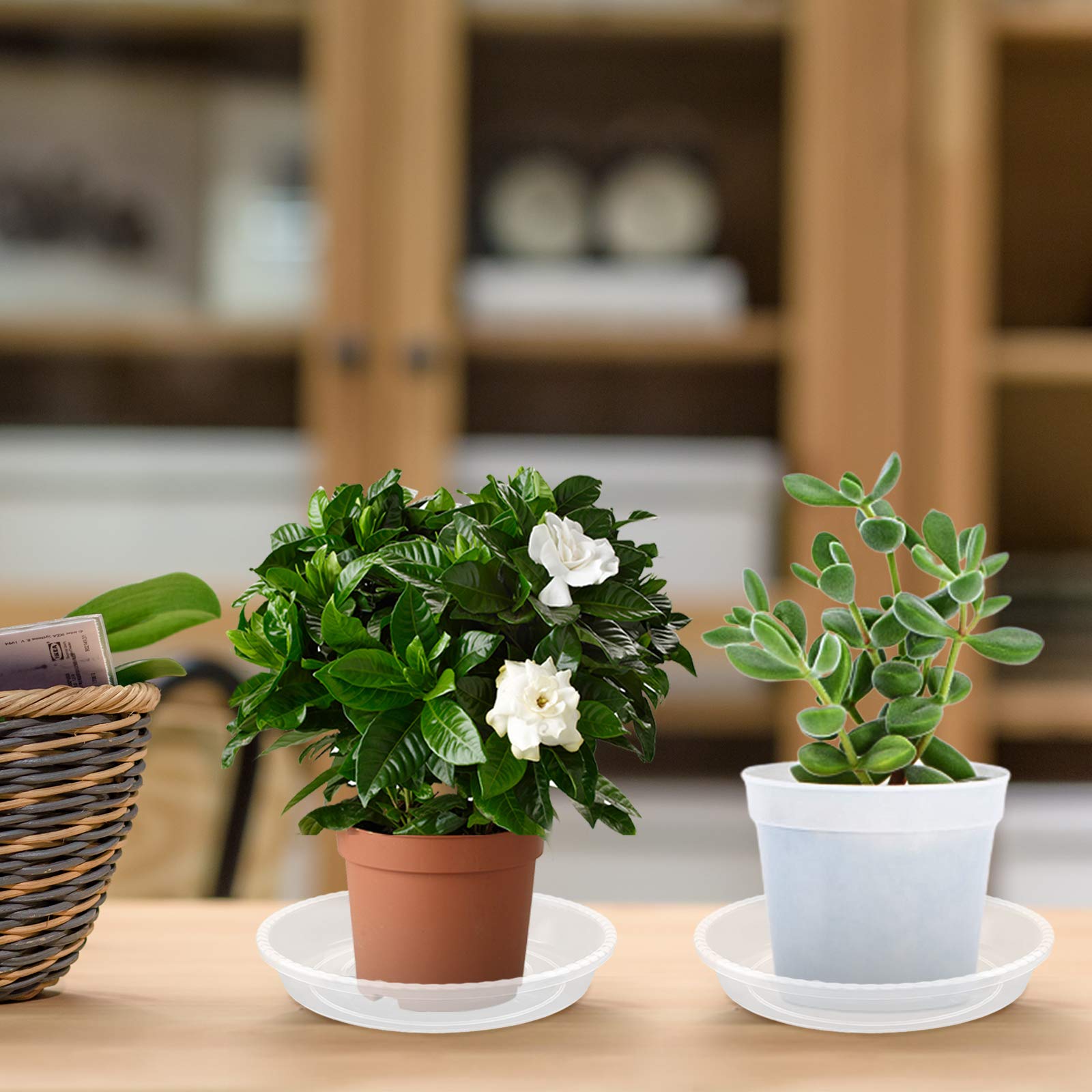 6 Inch Clear Plastic Plant Saucers - 6 Pack Thick Drip Trays for Indoor Flower Pots, No Holes - Perfect for Houseplants, Potted Plants & Plant Stand Protection