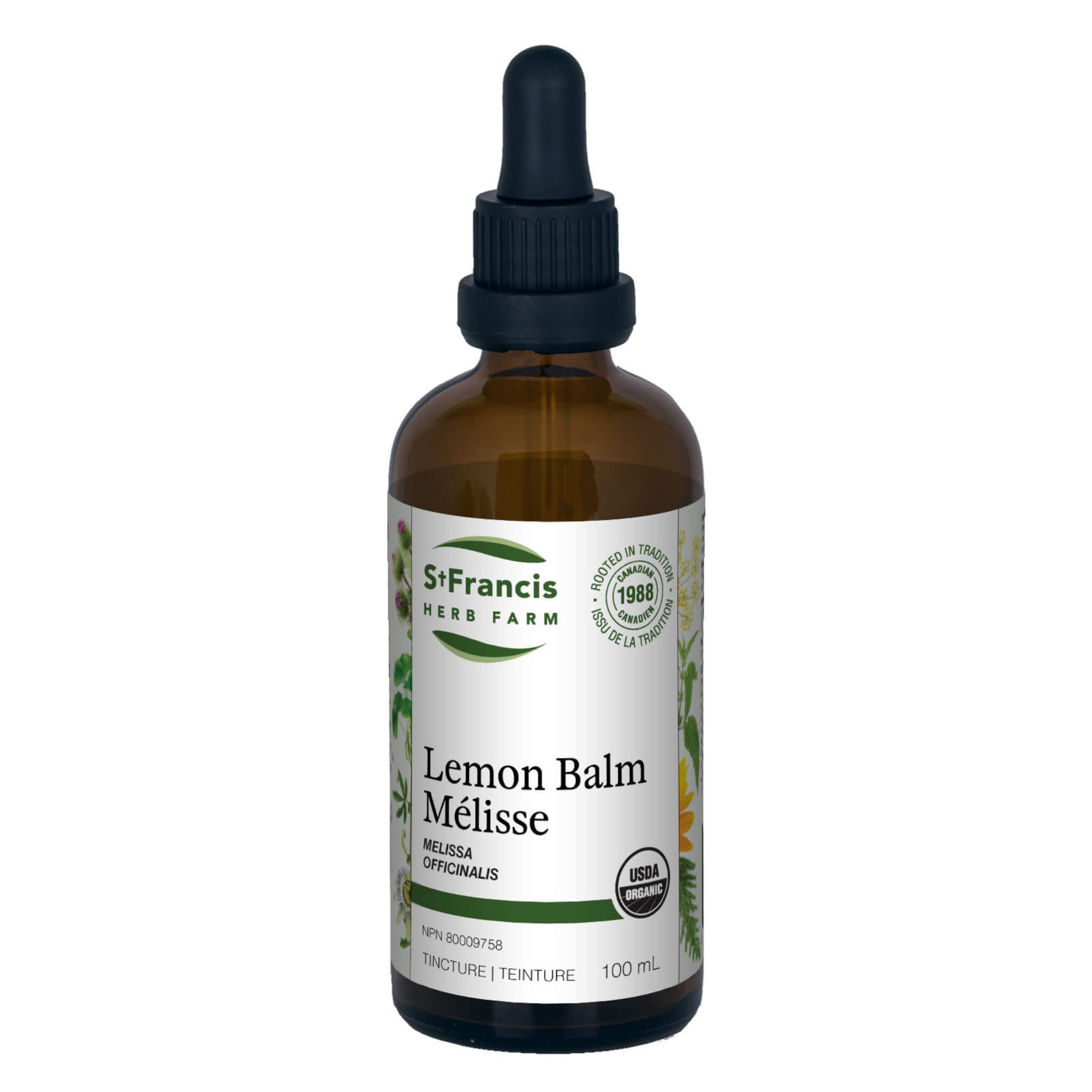 Organic Lemon Balm (Melissa officinalis) - Herbal Tea, Stress Relief & Sleep Aid - Perfect for Relaxation, Aromatherapy & Natural Remedies