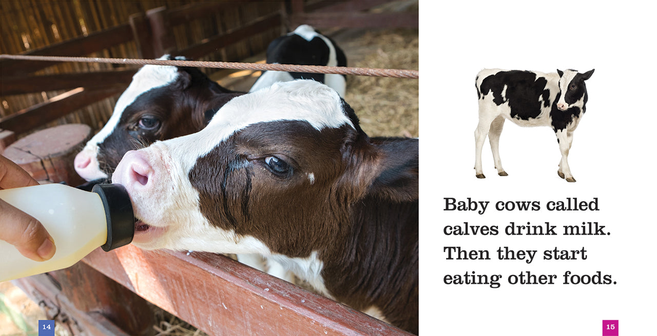Cows Book - ISBN 9781608187843 - Perfect for Farm Animal Lovers & Rural Lifestyle Enthusiasts
