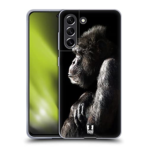 Male Chimpanzee