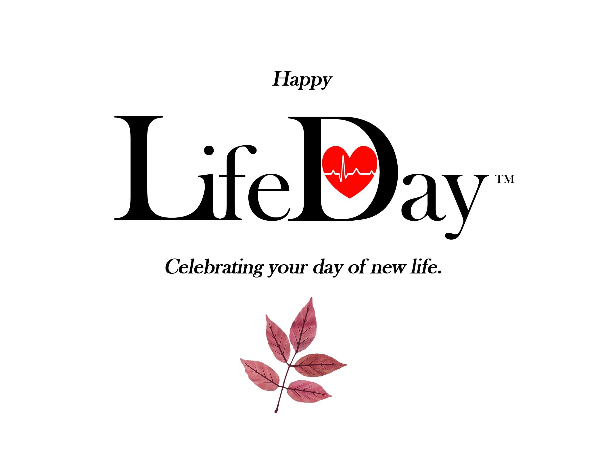 Beautiful Greeting Cards for All Occasions - Birthday, Christmas, Thank You & More | Perfect for Gifts, Parties & Special Moments