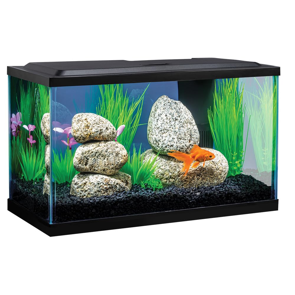 Tetra Goldfish LED Aquarium Kit 10 Gallon - Complete Fish Tank Set with LED Light & Filter - Perfect for Home, Office or Classroom Fish Keeping