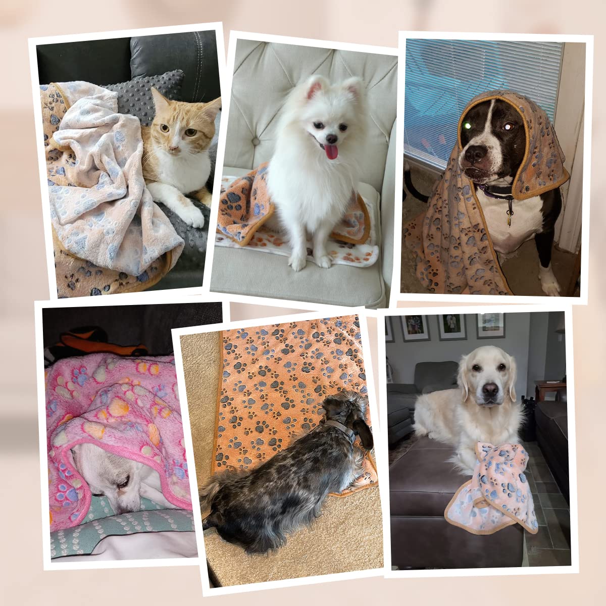**Soft Fluffy Pet Blanket for Dogs & Cats - Cozy Fleece Throw with Cute Paw Prints, 41x31 Inch for Medium to Large Pets - Perfect for Beds, Couches & Travel**