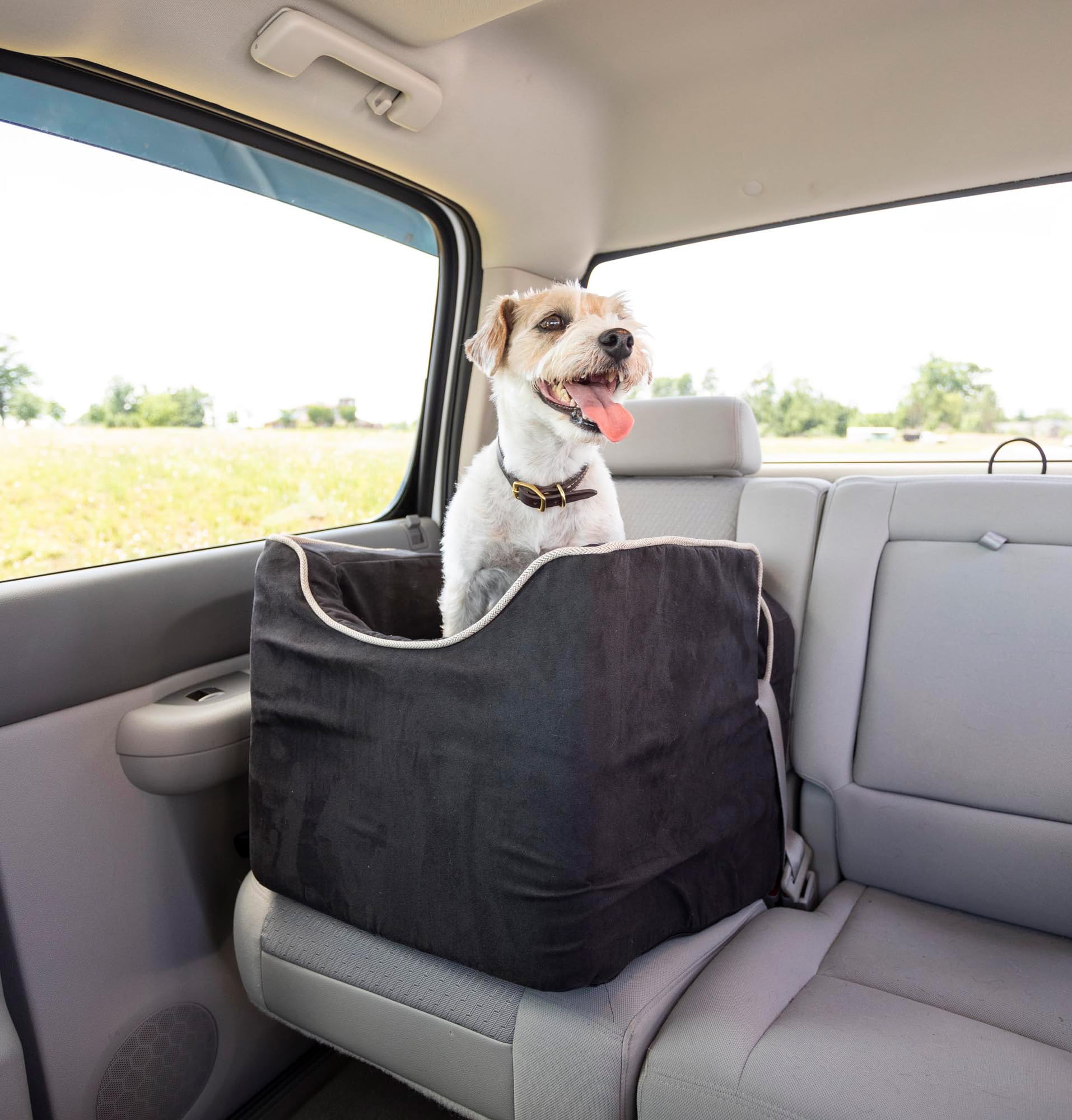 Snoozer Lookout Dog Booster Car Seat for Small Dogs 5-15 lbs - Pet Travel Safety Seat with Harness Strap to Prevent Car Sickness - Black Removable & Machine Washable Cover - Perfect for Road Trips & Vet Visits