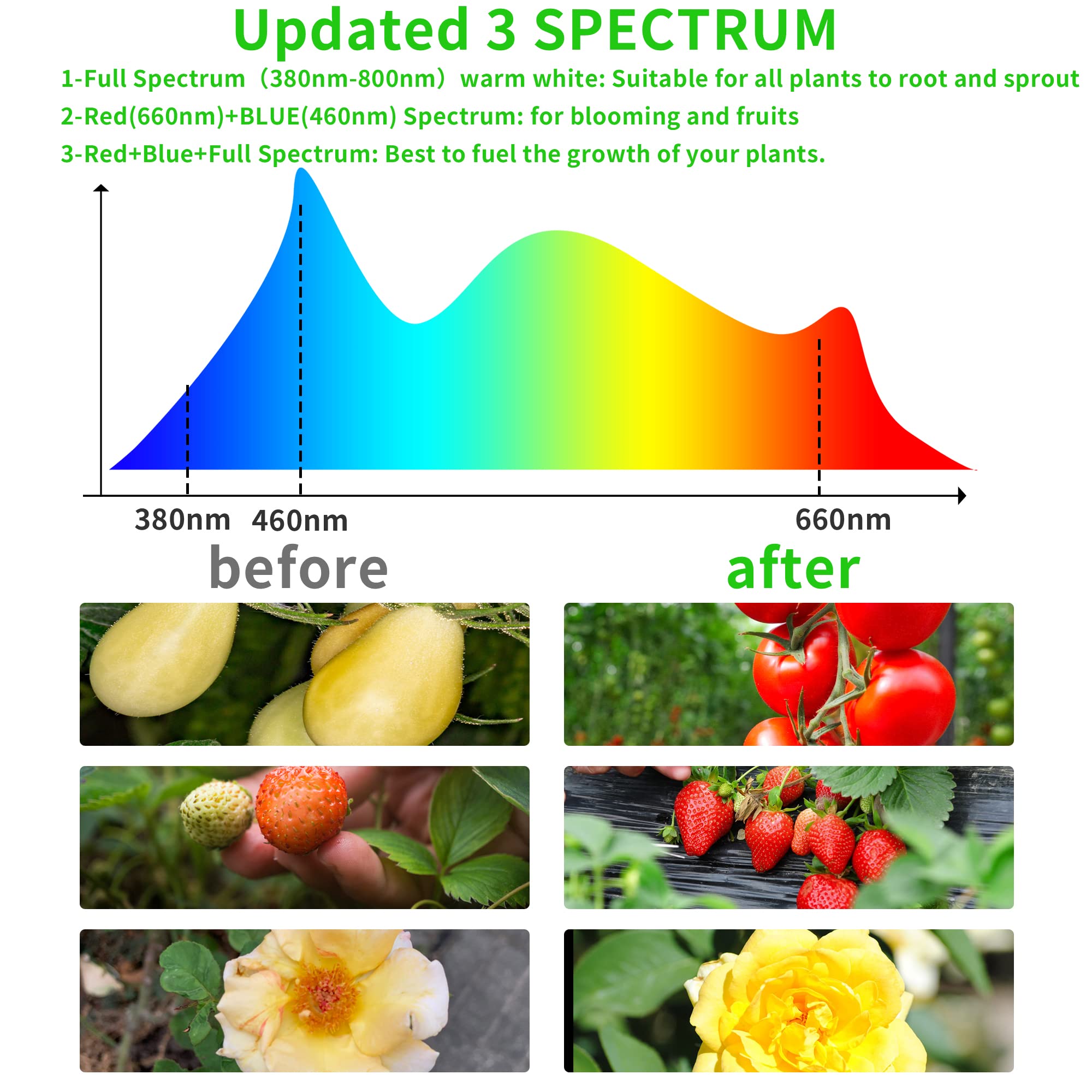 3 Head Full Spectrum LED Plant Grow Light with Timer, Adjustable Goose Neck & Clip - DC 5V Safe Indoor Gardening Lamp for Herbs, Flowers, Seedlings - Perfect for Home, Office & Greenhouse Use