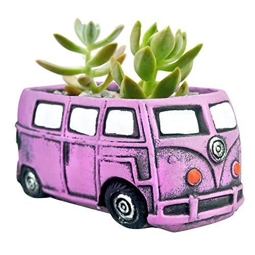 Purple Bus
