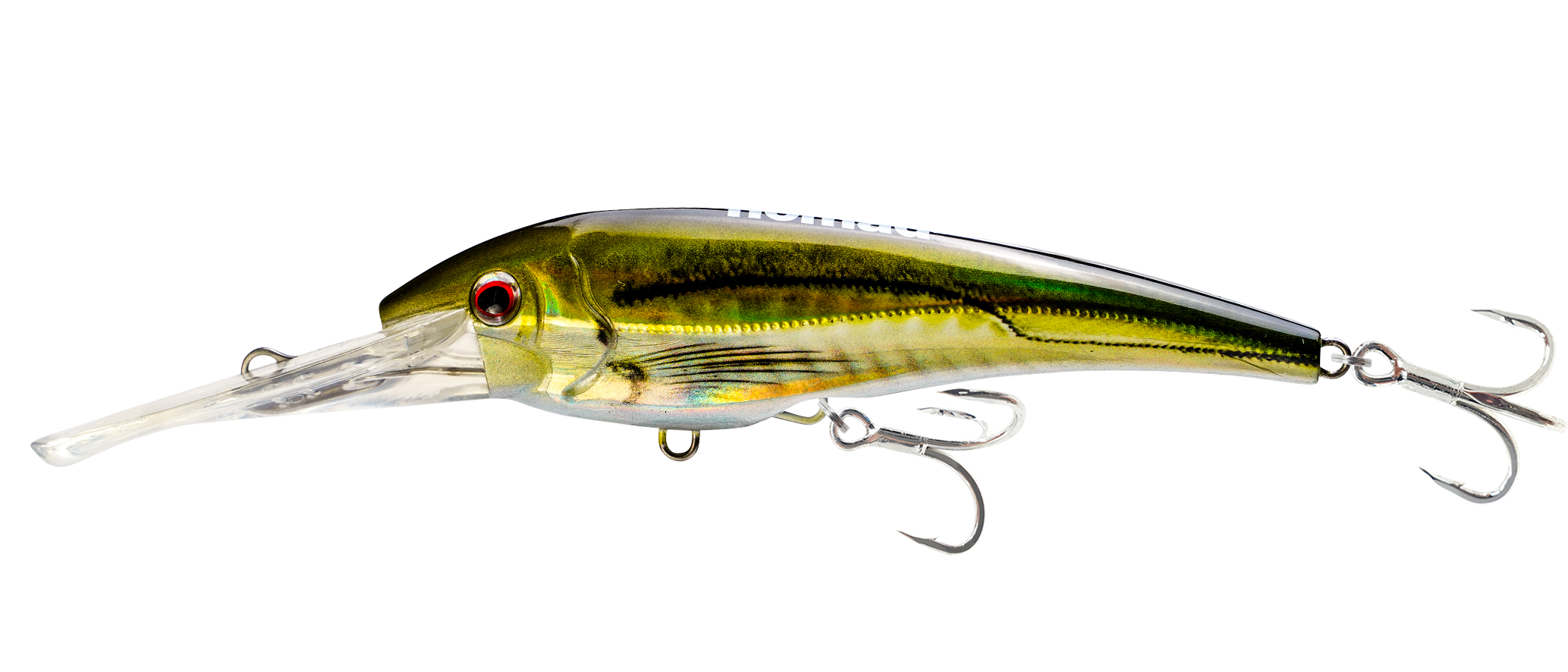 Olive Back Shad