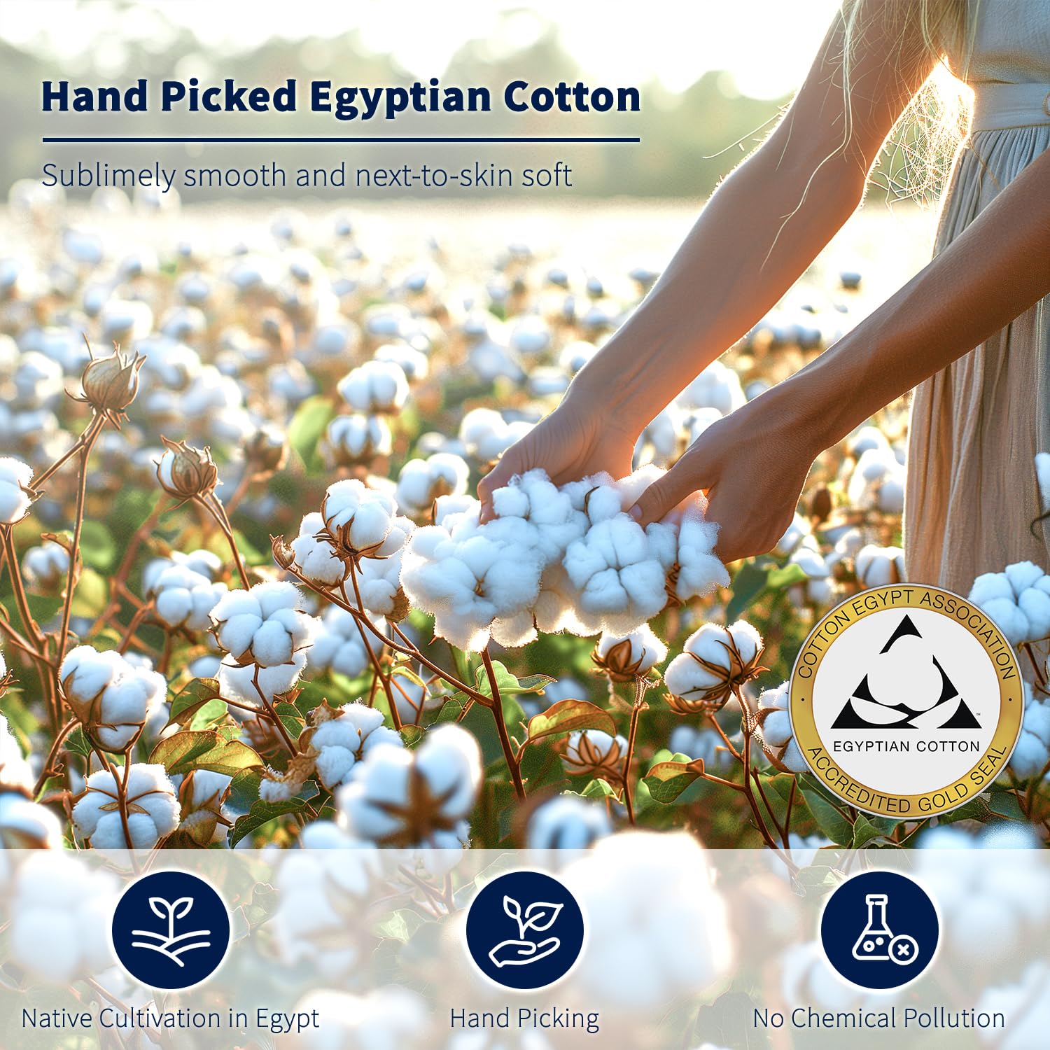 Premium 100% Egyptian Cotton Queen Size Sheet Set - 600 Thread Count Luxury Bedding, Breathable & Cooling 5-Star Hotel Quality Sheets with 16