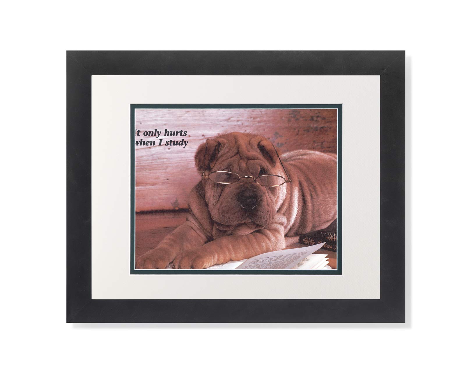 Shar Pei Puppy Dog with Glasses Reading Book - Framed Wall Art Print for Home & Office Decor - Perfect Gift for Dog Lovers & Book Enthusiasts