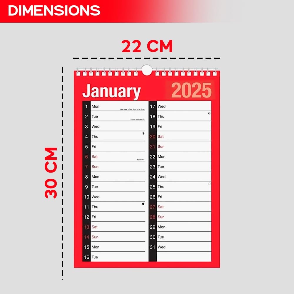 ZYBUX 2025 Spiral Bound Wall Calendar Planner - A4 2-Column Design with Holidays & Notable Dates | Perfect for Home, Office, School & Business Planning | Durable Organizer for Year-Round Scheduling